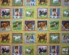 Photo Frames with Ponys, Jumping, Ribbons and More