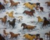 Multi Color Horses Running in Snow