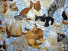 Large Multi Breed Cats on Blue and White