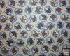Brown Horse Heads in Silver Horse Shoe on Tan Background