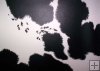 Faux Cow Hide Print