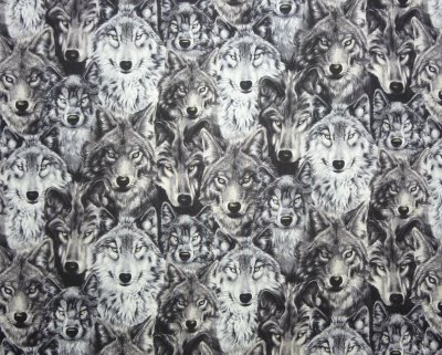 Wolf Faces - Click Image to Close